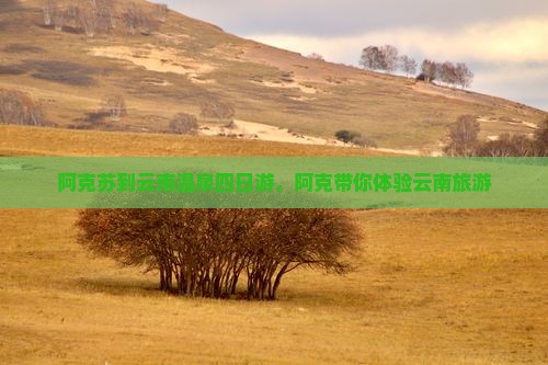 阿克苏到云南温泉四日游