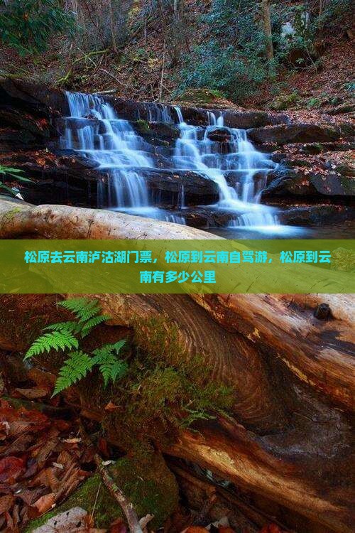 松原去云南泸沽湖门票