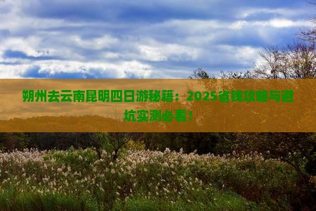 朔州去云南昆明四日游