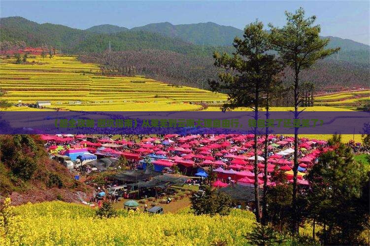 莱芜到云南大理自由行