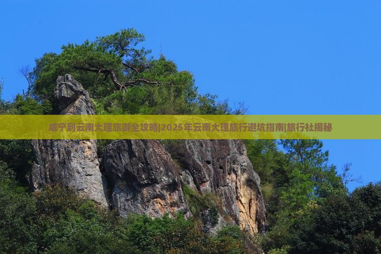 咸宁去云南大理旅行社