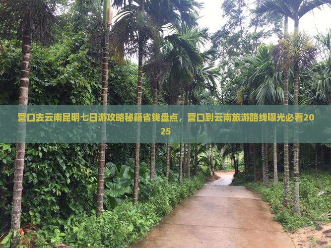 营口去云南昆明七日游