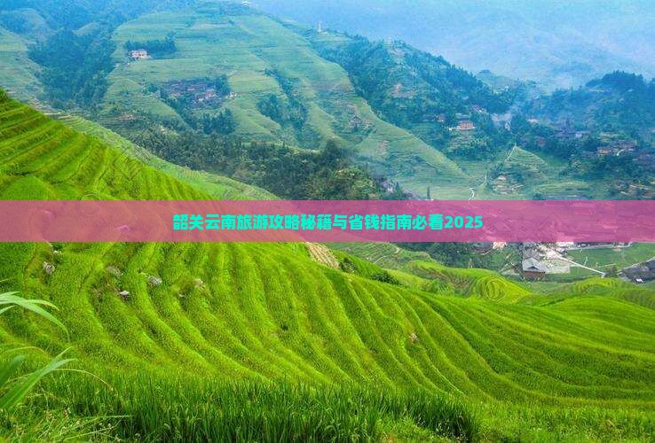 韶关去云南昆明自由团