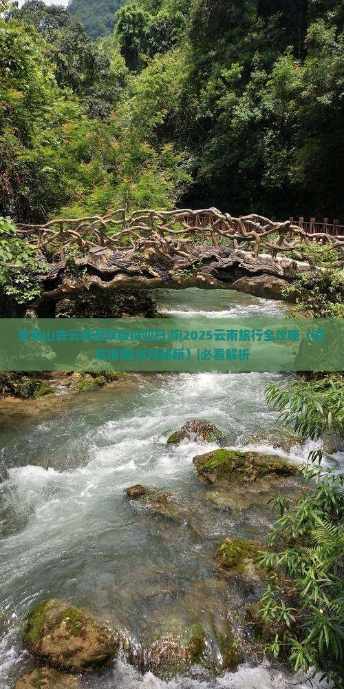 武夷山去云南西双版纳四日游