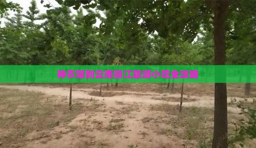 神农架到云南丽江旅游小吃