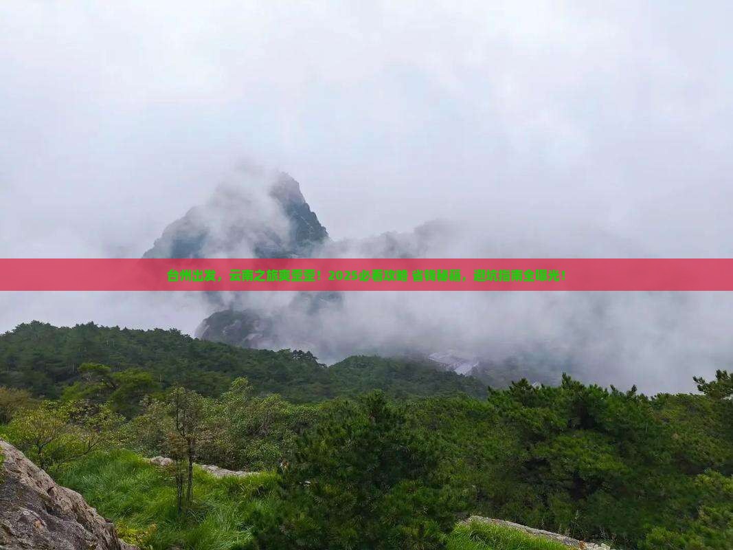 台州去云南大型旅游团