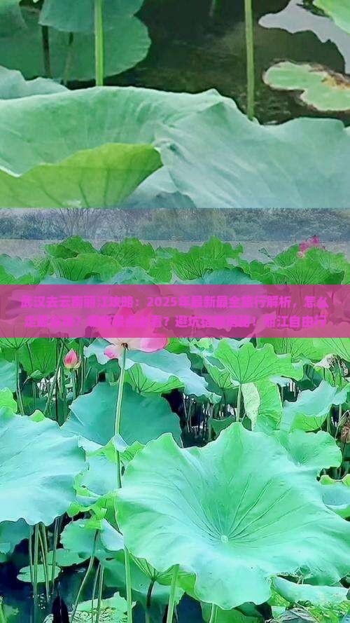 武汉去云南丽江攻略