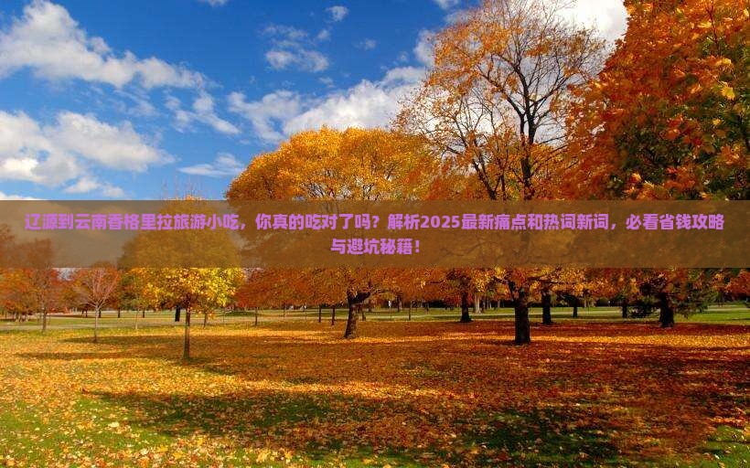 辽源到云南香格里拉旅游小吃