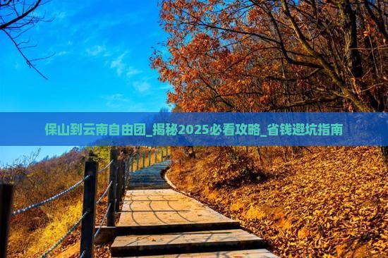 保山到云南自由团