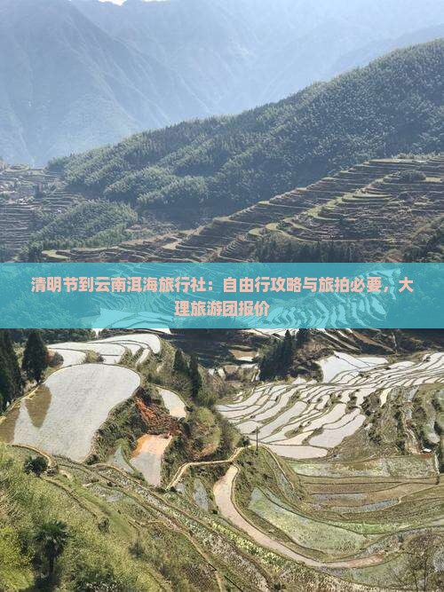 清明节到云南洱海旅行社