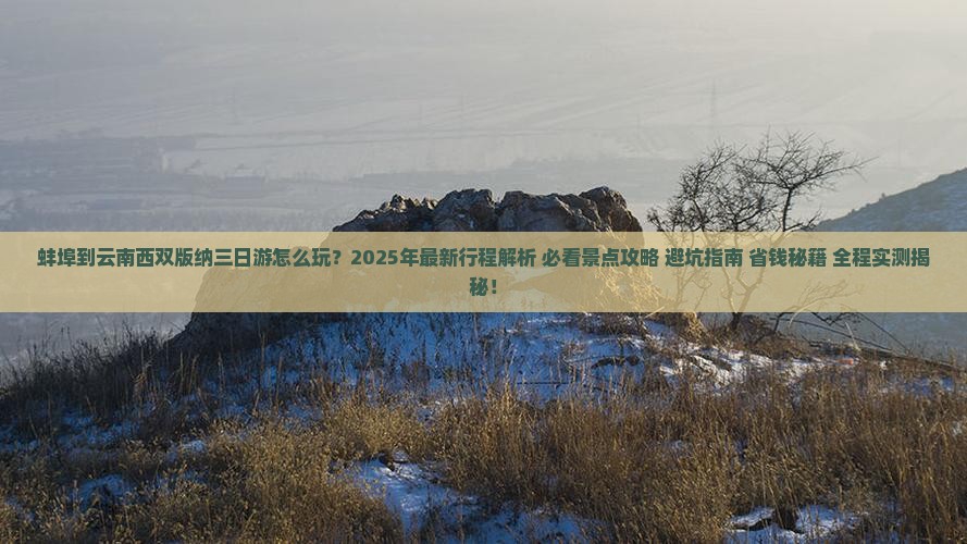 蚌埠到云南西双版纳三日游