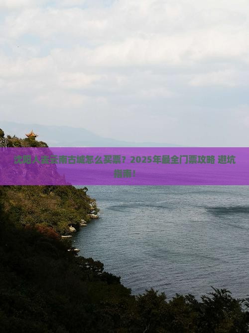 沈阳去云南古城门票