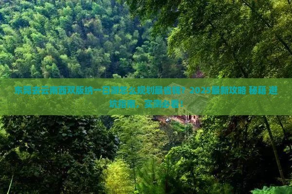 东莞去云南西双版纳一日