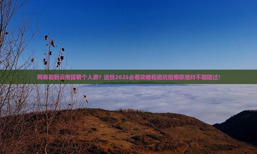 阿泰勒到云南昆明个人游