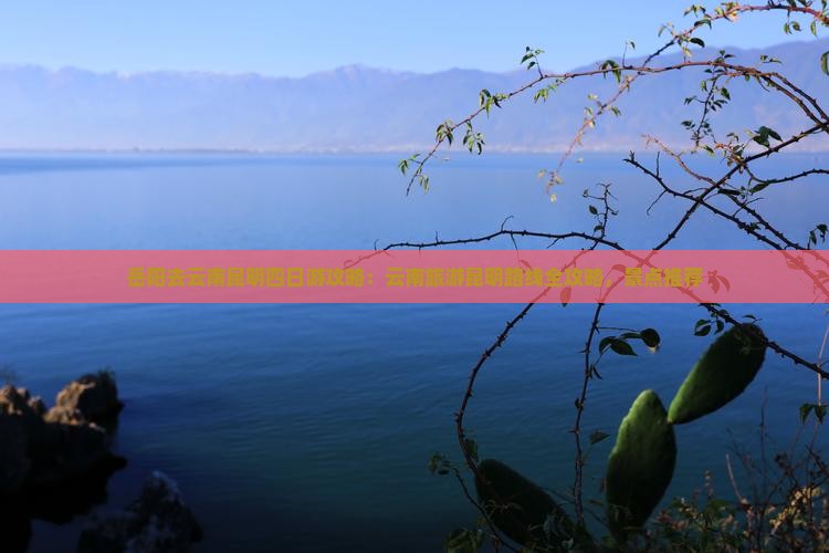 岳阳去云南昆明四日游