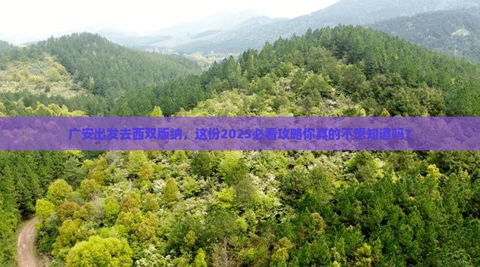 广安去云南西双版纳旅行社