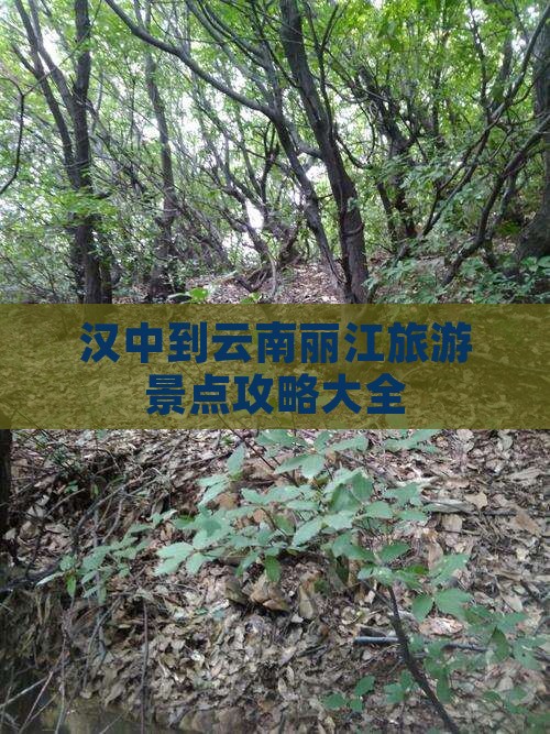汉中到云南丽江旅游