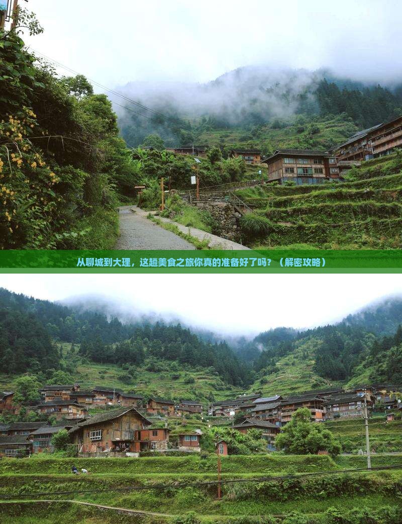 聊城到云南大理旅游小吃