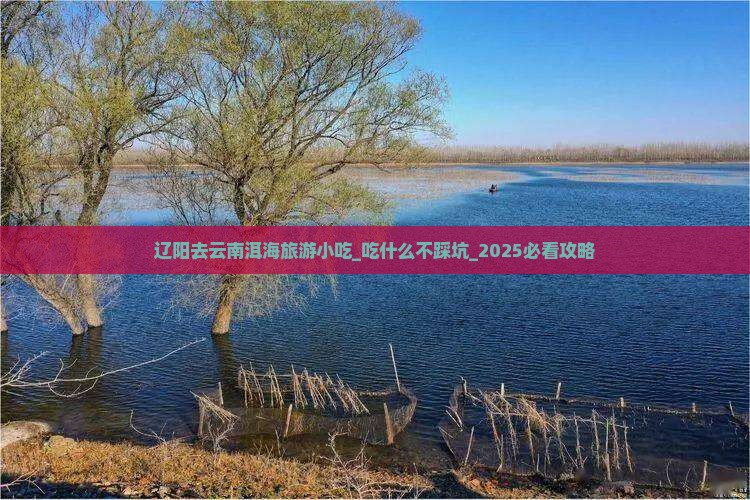 辽阳去云南洱海旅游小吃