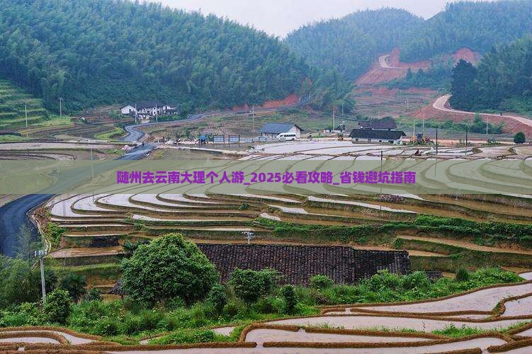随州去云南大理个人游