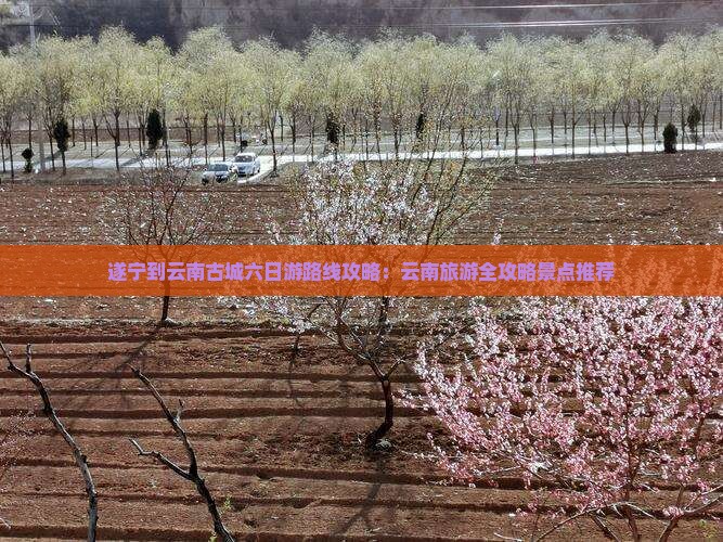 遂宁到云南古城六日游