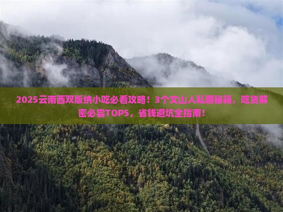 文山到云南西双版纳旅游小吃