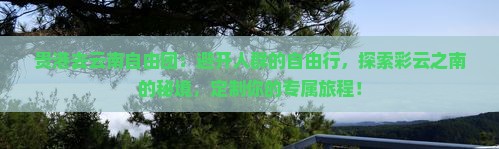 贵港去云南自由团