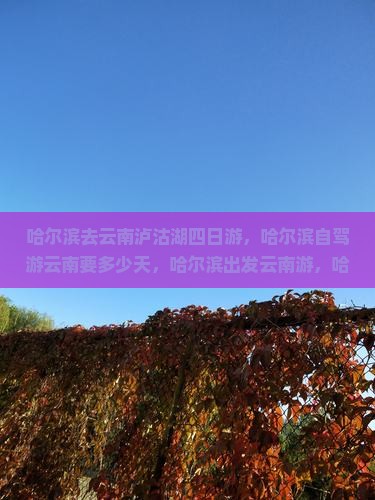 哈尔滨去云南泸沽湖四日游