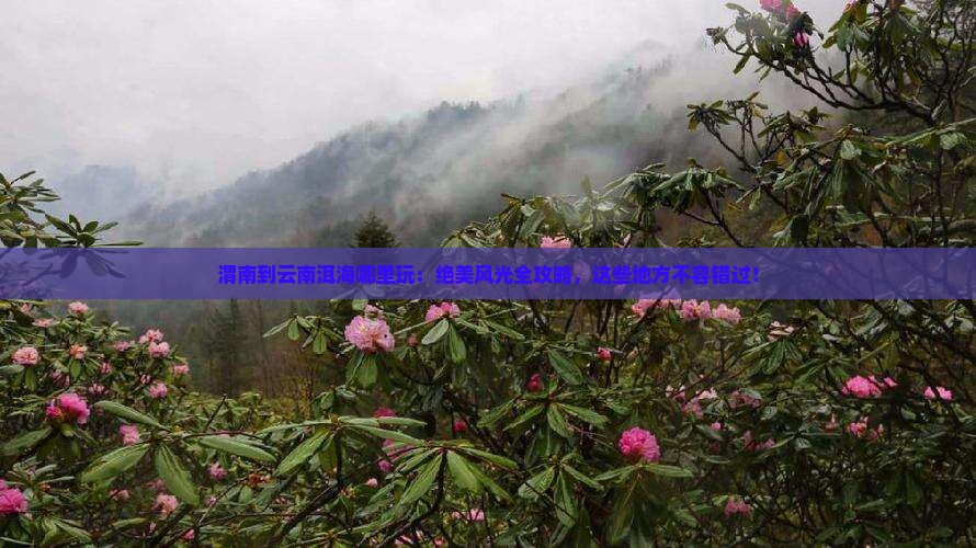 渭南到云南洱海哪里玩