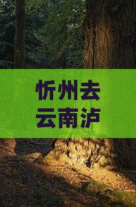 忻州去云南泸沽湖必去地