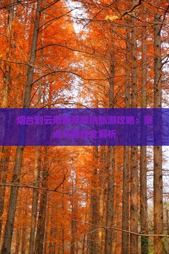 烟台到云南西双版纳一日