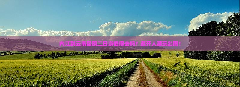 内江到云南昆明二日游