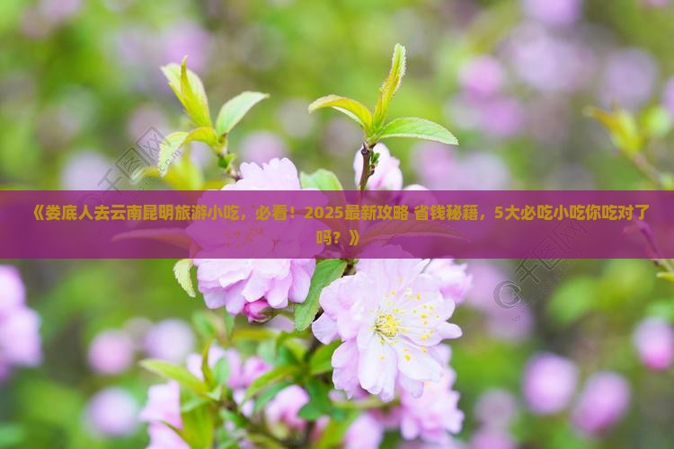 娄底去云南昆明旅游小吃
