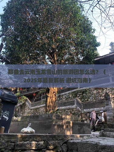 那曲去云南玉龙雪山大型旅游团
