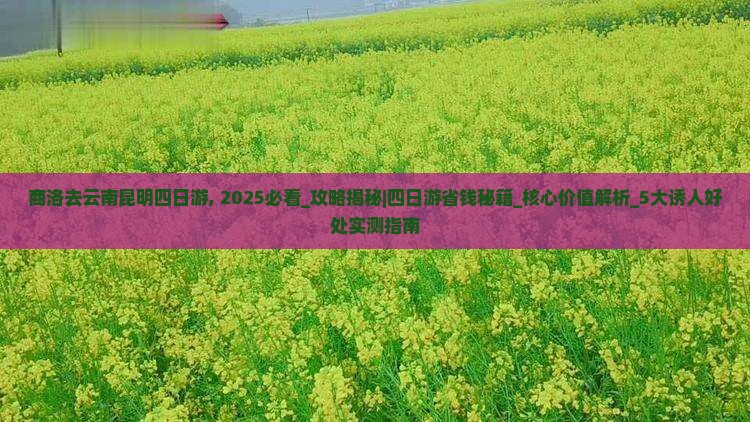 商洛去云南昆明四日游
