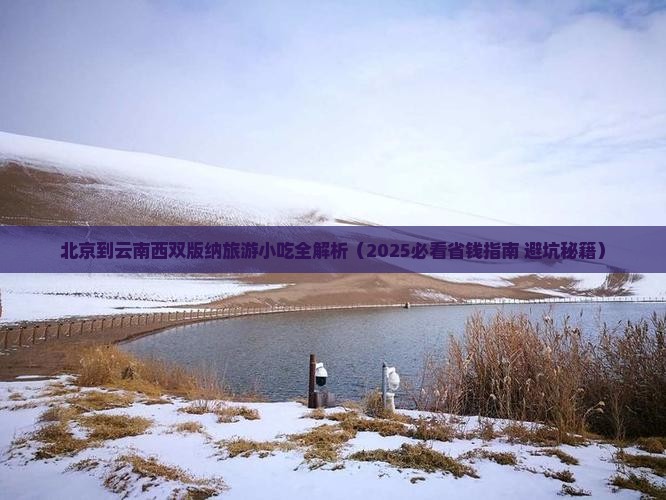 北京到云南西双版纳旅游小吃