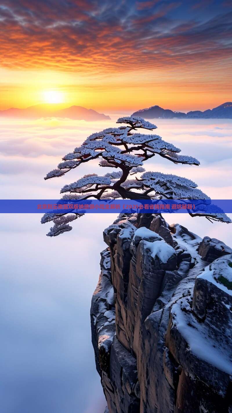 北京到云南西双版纳旅游小吃