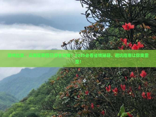 湖州到云南昆明四日游