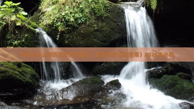 攀枝花去云南西双版纳哪里玩