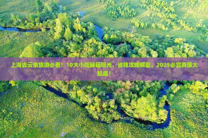 上海去云南旅游小吃