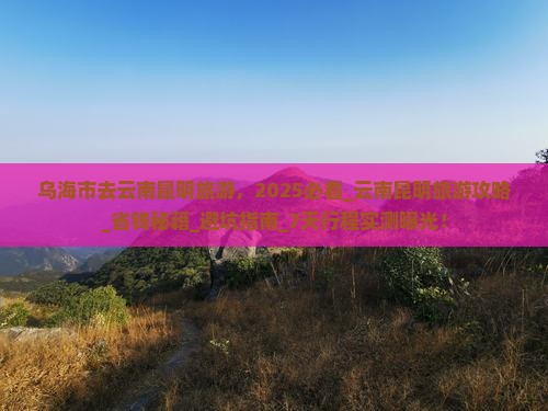 乌海市去云南昆明旅游