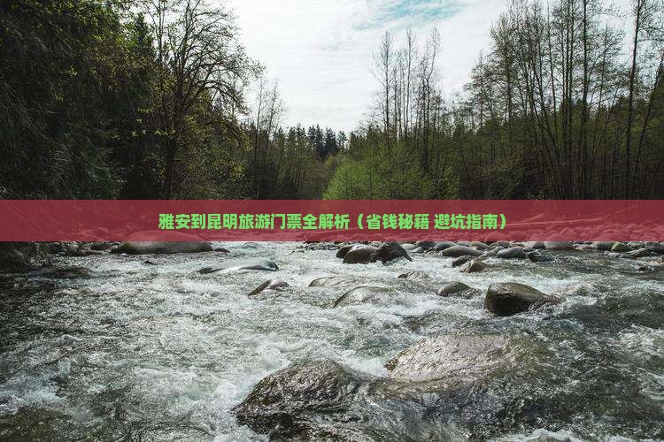 雅安去云南昆明门票