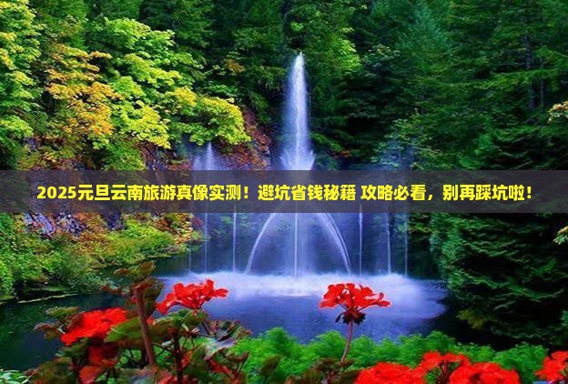 元旦去云南旅游