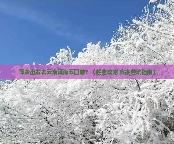 萍乡到云南洱海五日游