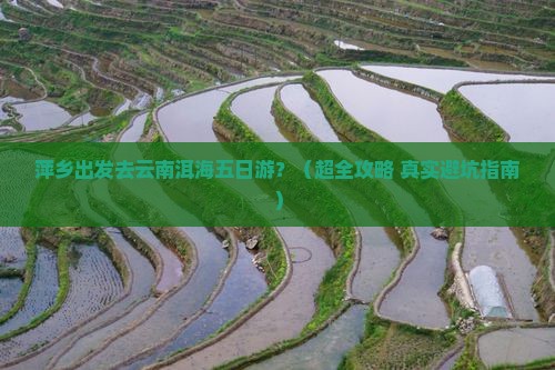 萍乡到云南洱海五日游