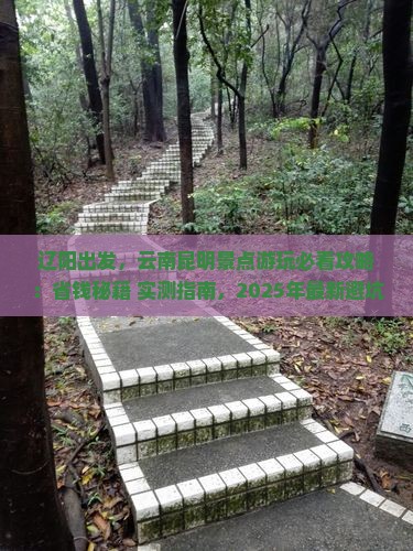辽阳去云南昆明景点