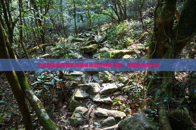 宁波到云南西双版纳团体旅游
