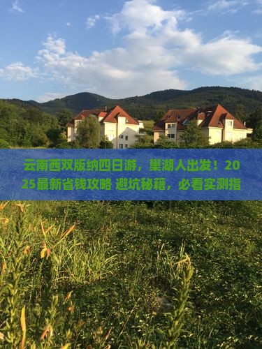 巢湖去云南西双版纳四日游