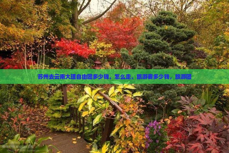 苏州去云南大理自由团
