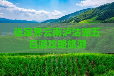 张家界到云南泸沽湖五日游
